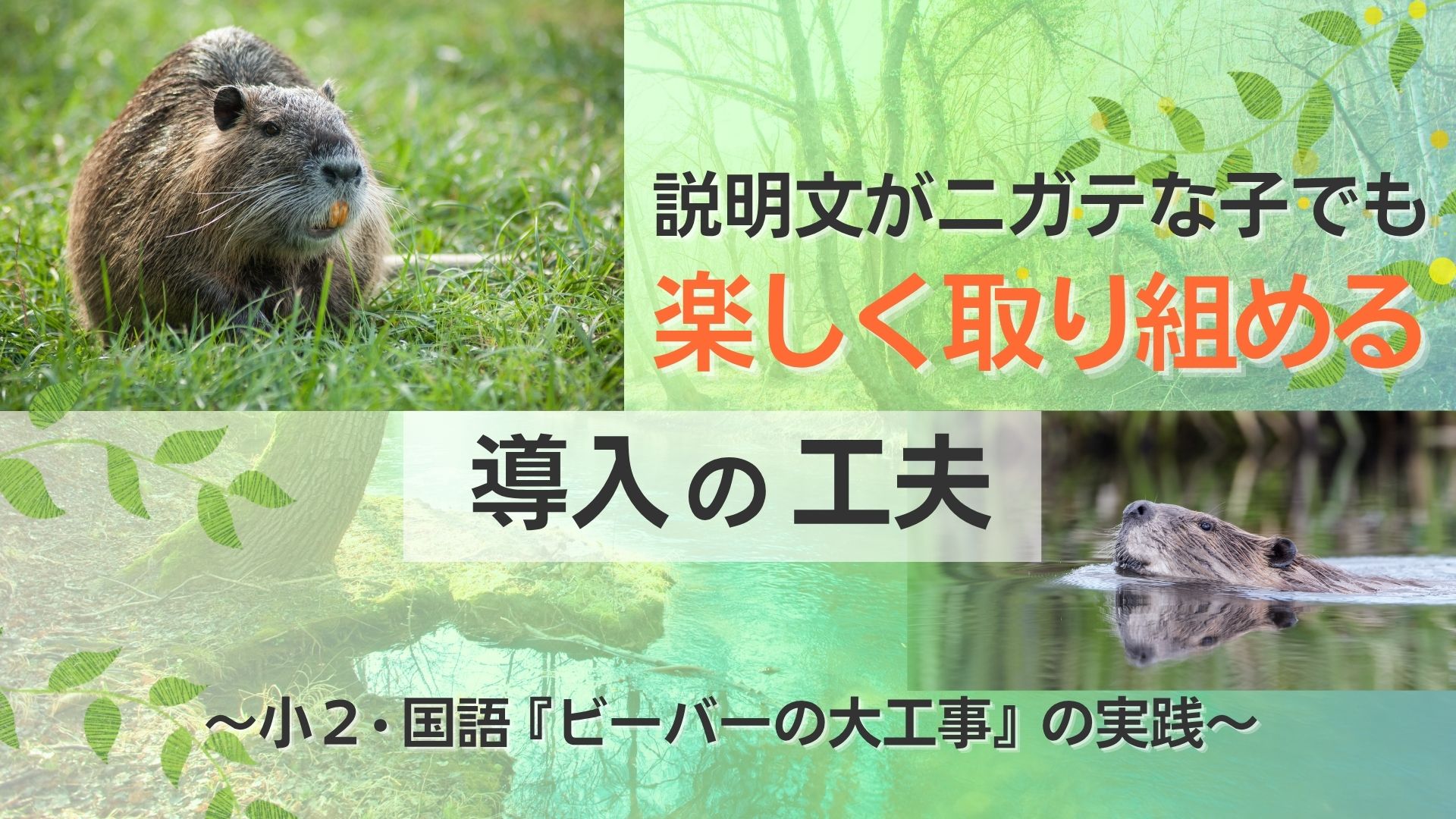 小２国語『ビーバーの大工事』（説明文）の導入の楽しい工夫
